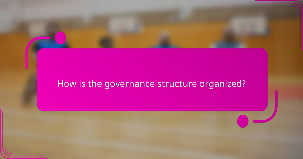 How is the governance structure organized?