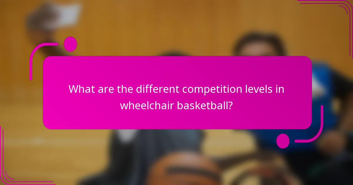 What are the different competition levels in wheelchair basketball?