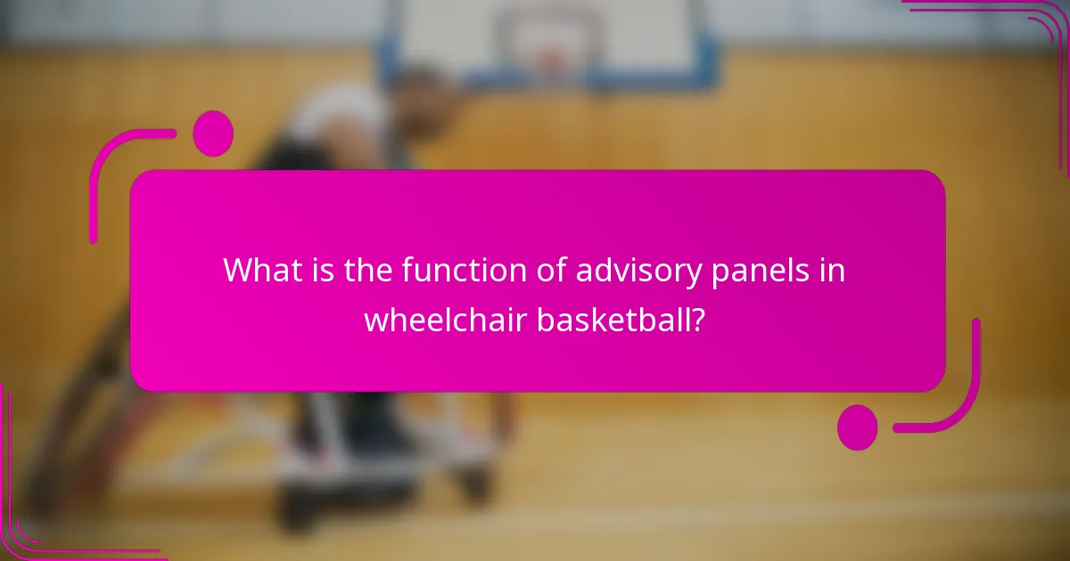 What is the function of advisory panels in wheelchair basketball?